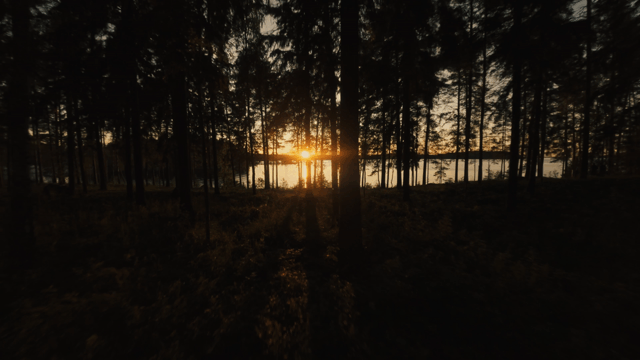 WSF_AFTERMOVIE_VER2_00090045.gif