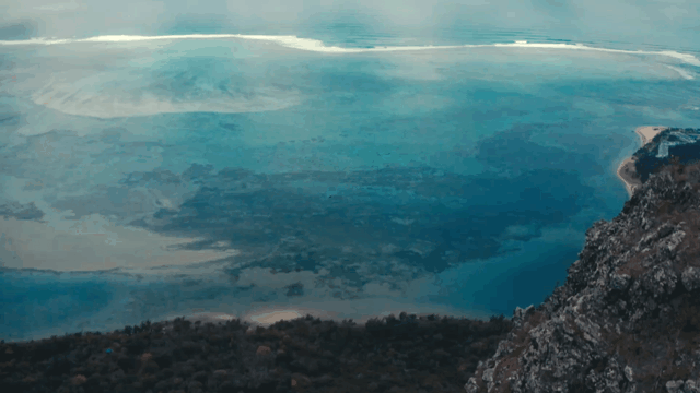 GIF 1.gif