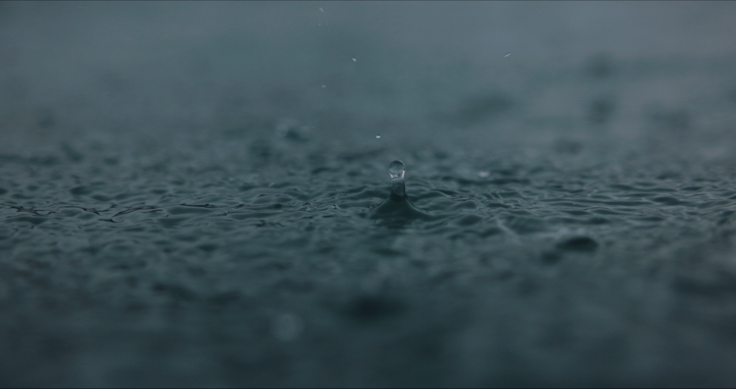 Screenshot 2026-03-13 at 10.34.52.png