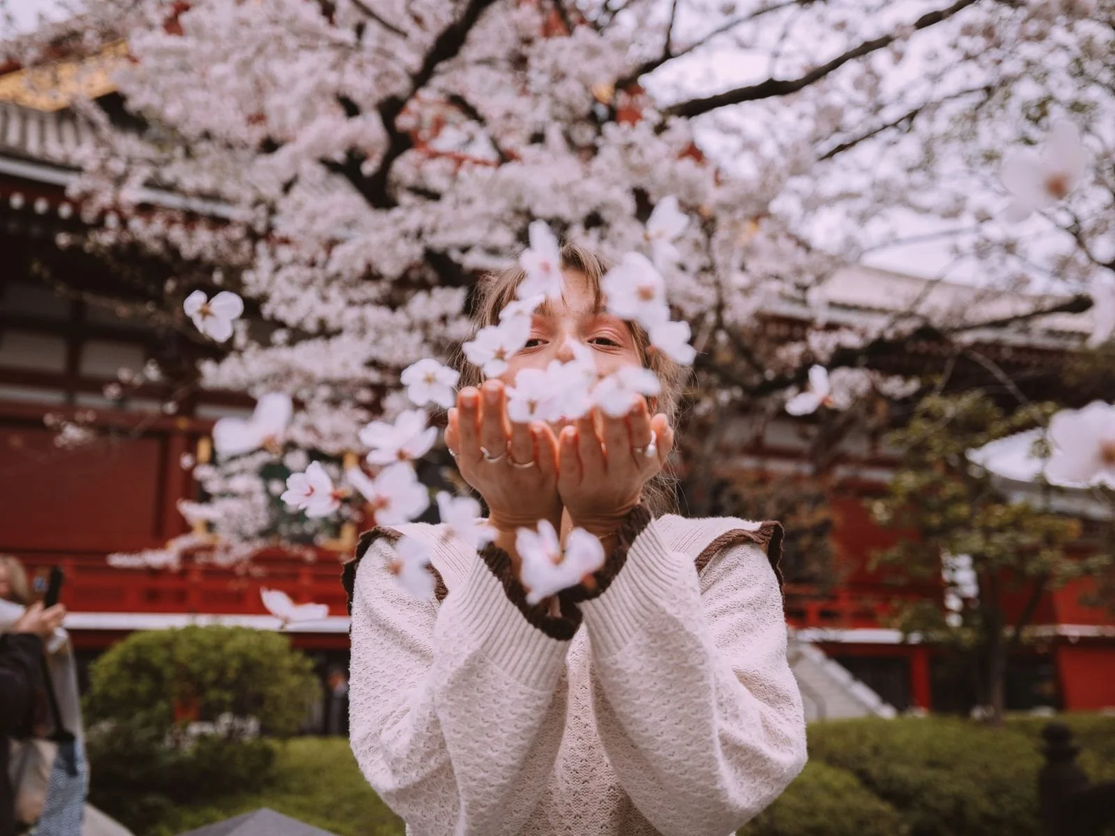 blog cover (13).jpg