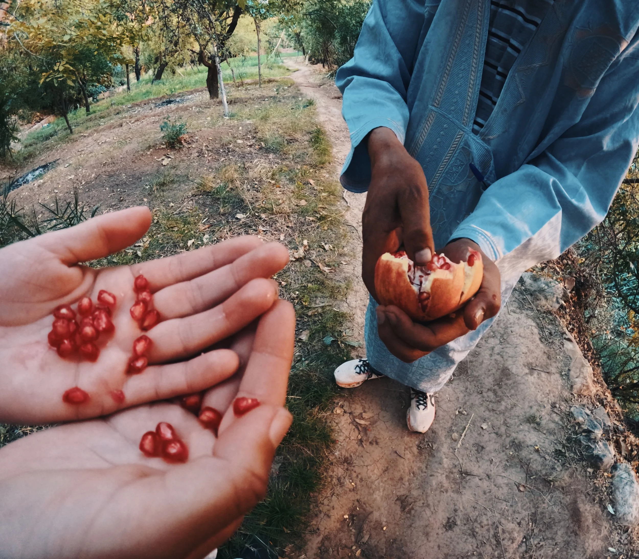 Two people exchanging pomegranates outdoors on a dirt path. One person holds a pomegranate with seeds, the other is opening a pomegranate with seeds visible.