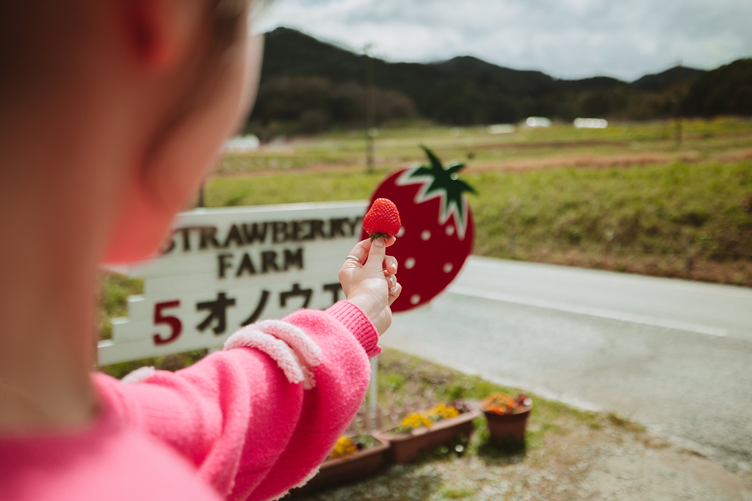 Klook - strawberry farm-35.jpg