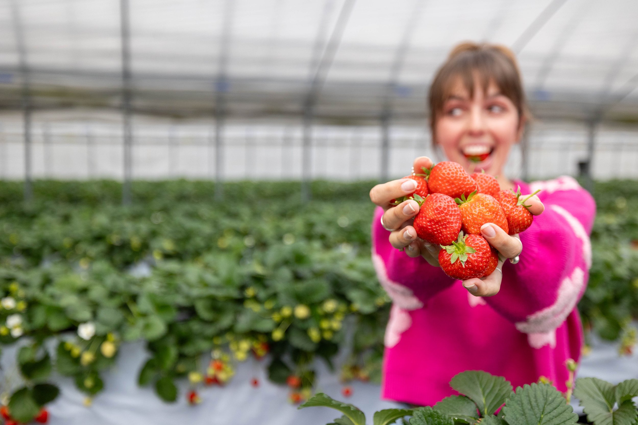 2024_Japan_klook_strawberry-33.jpg