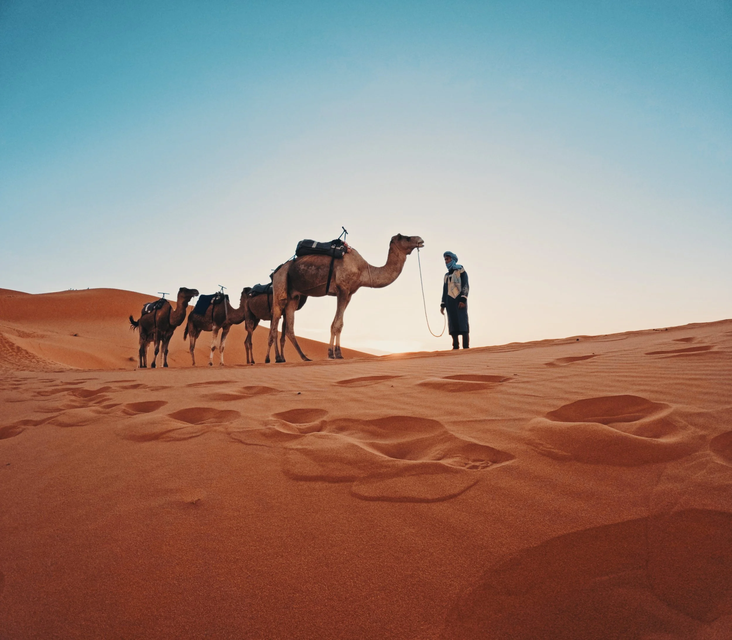 A person standing in a desert with four camels, one of which the person is holding a lead rope. The camels are loaded with packs, and the desert has rolling sand dunes with a clear blue sky.