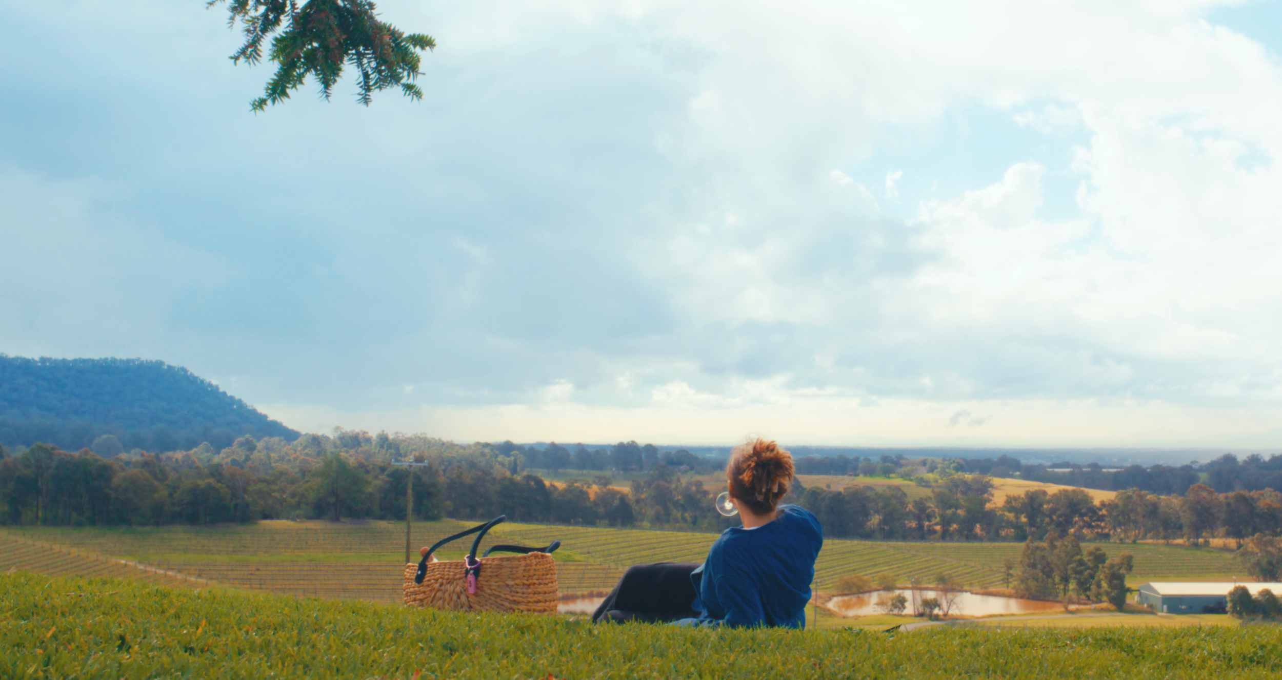 Hunter Valley Wine Country