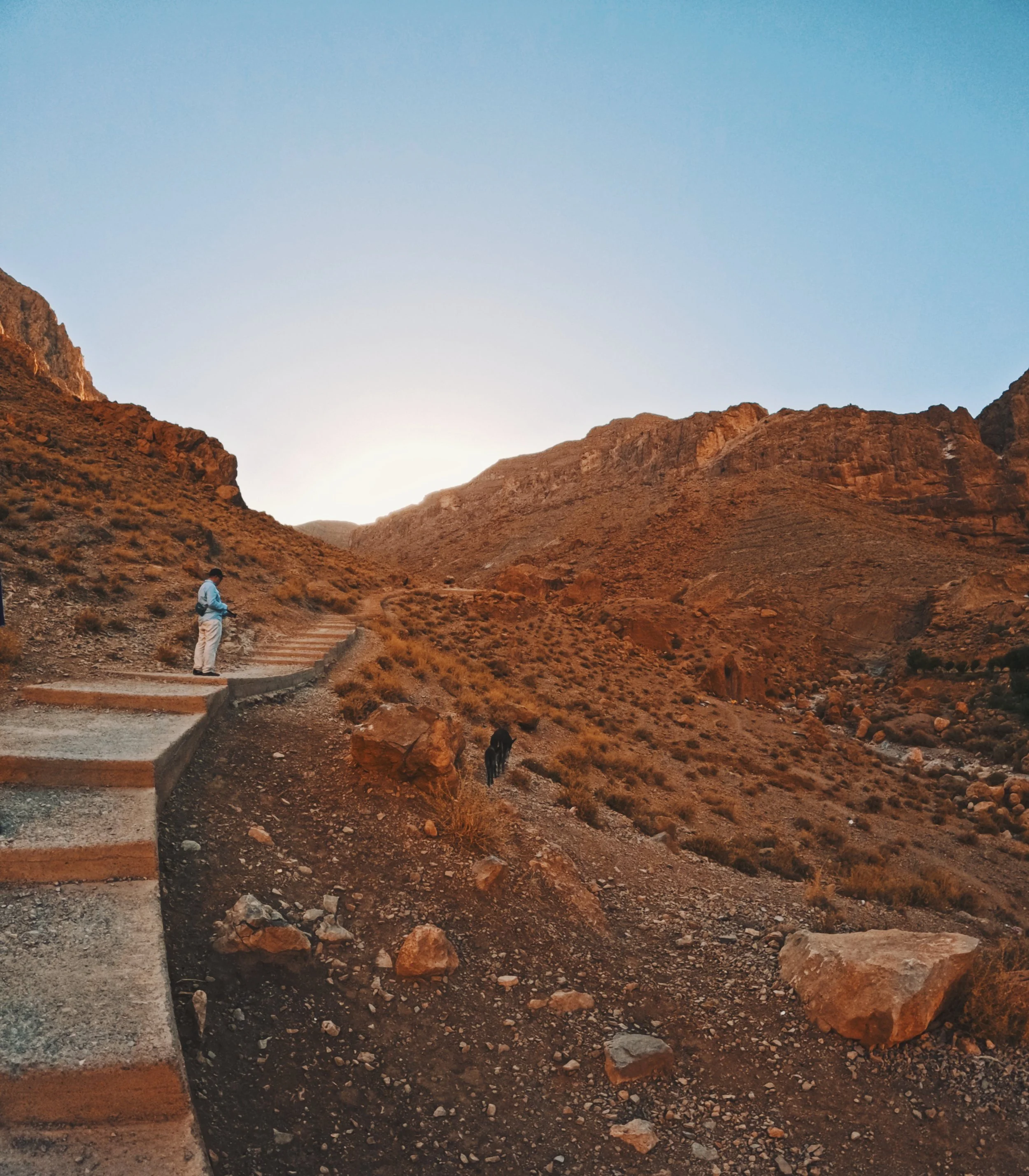 A person standing on a set of outdoor steps on a rugged hillside during sunset, with mountains and a horse in the distance.