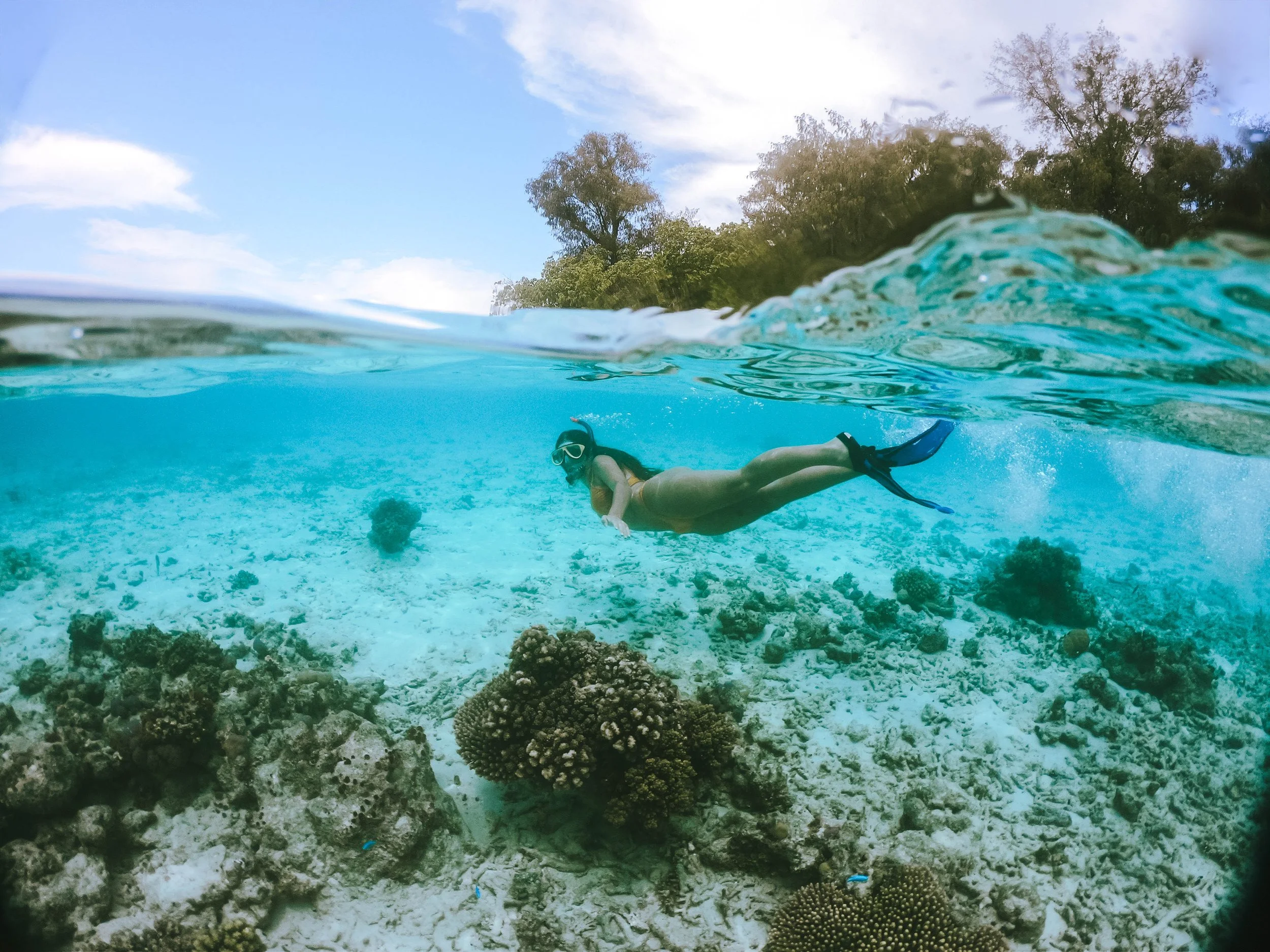 A woman in snorkeling gear swimming over a coral reef in clear blue water with trees and sky in the background.