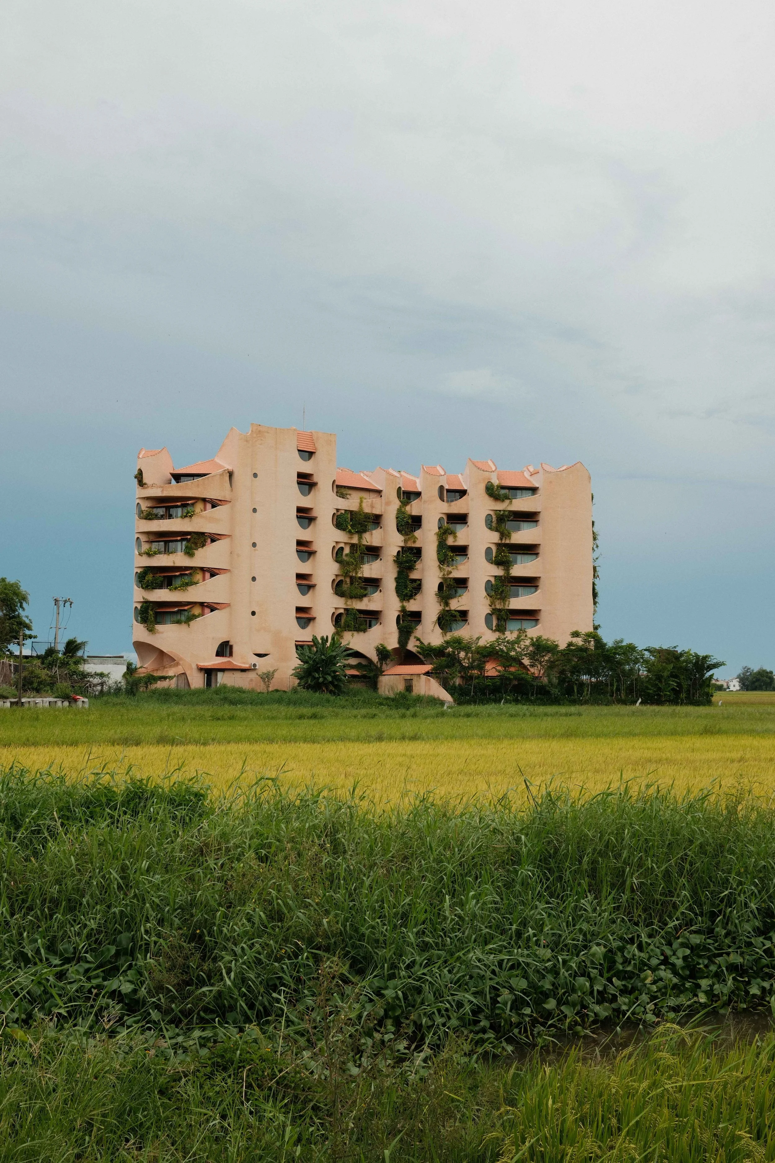 Vietnam_Reu-25.jpg