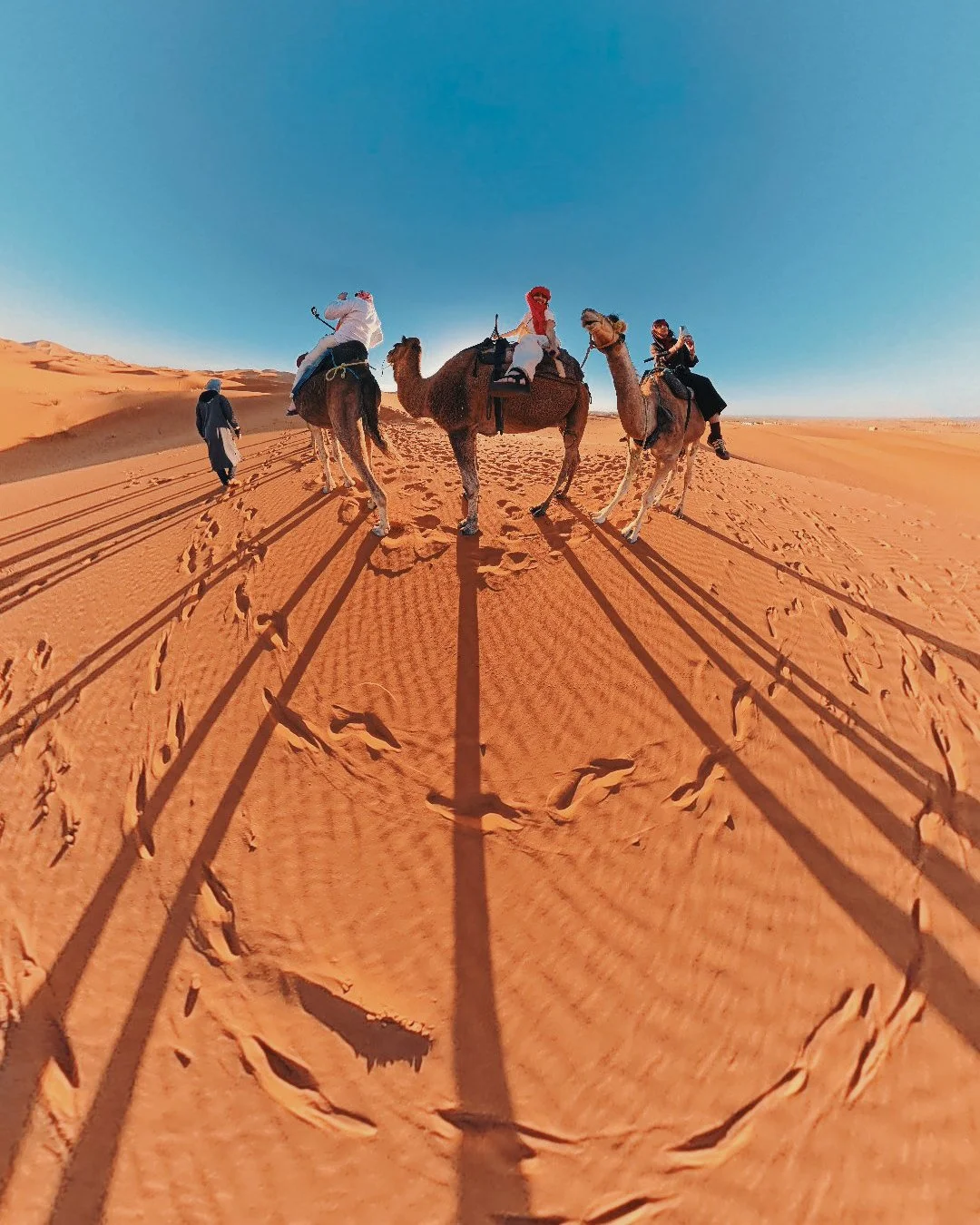 People riding camels across a sandy desert under a clear blue sky, with long shadows on the sand.