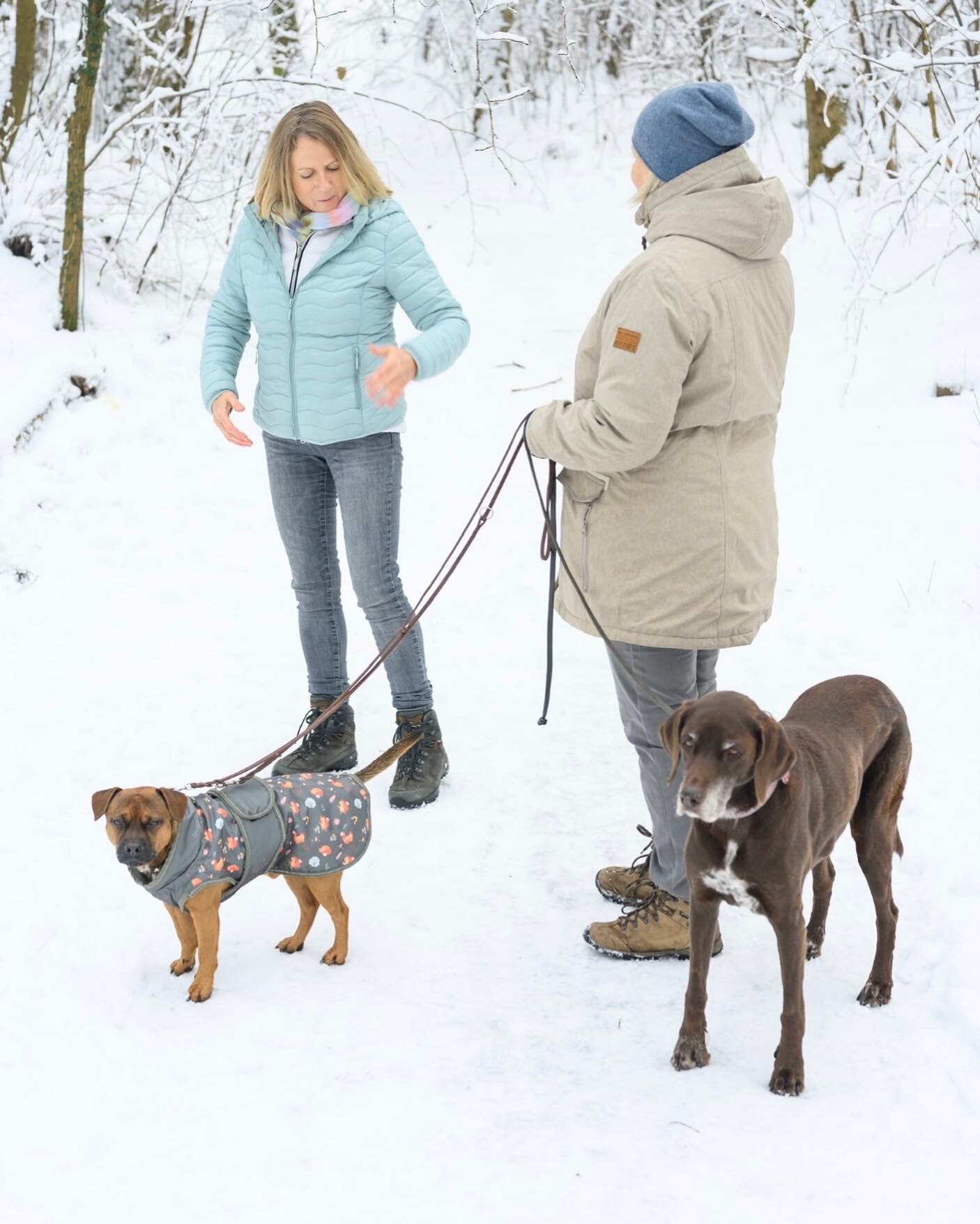 Mein Herzens-Business - ganzheitliches Training f&uuml;r dein Mensch-Hund-Team ❤️
.
.
.
#Hundetrainingmitherz
#hundeverstehenlernen 
#fairmithund 
#k&ouml;rpersprachehund 
#k&ouml;rpersprachemenschhund