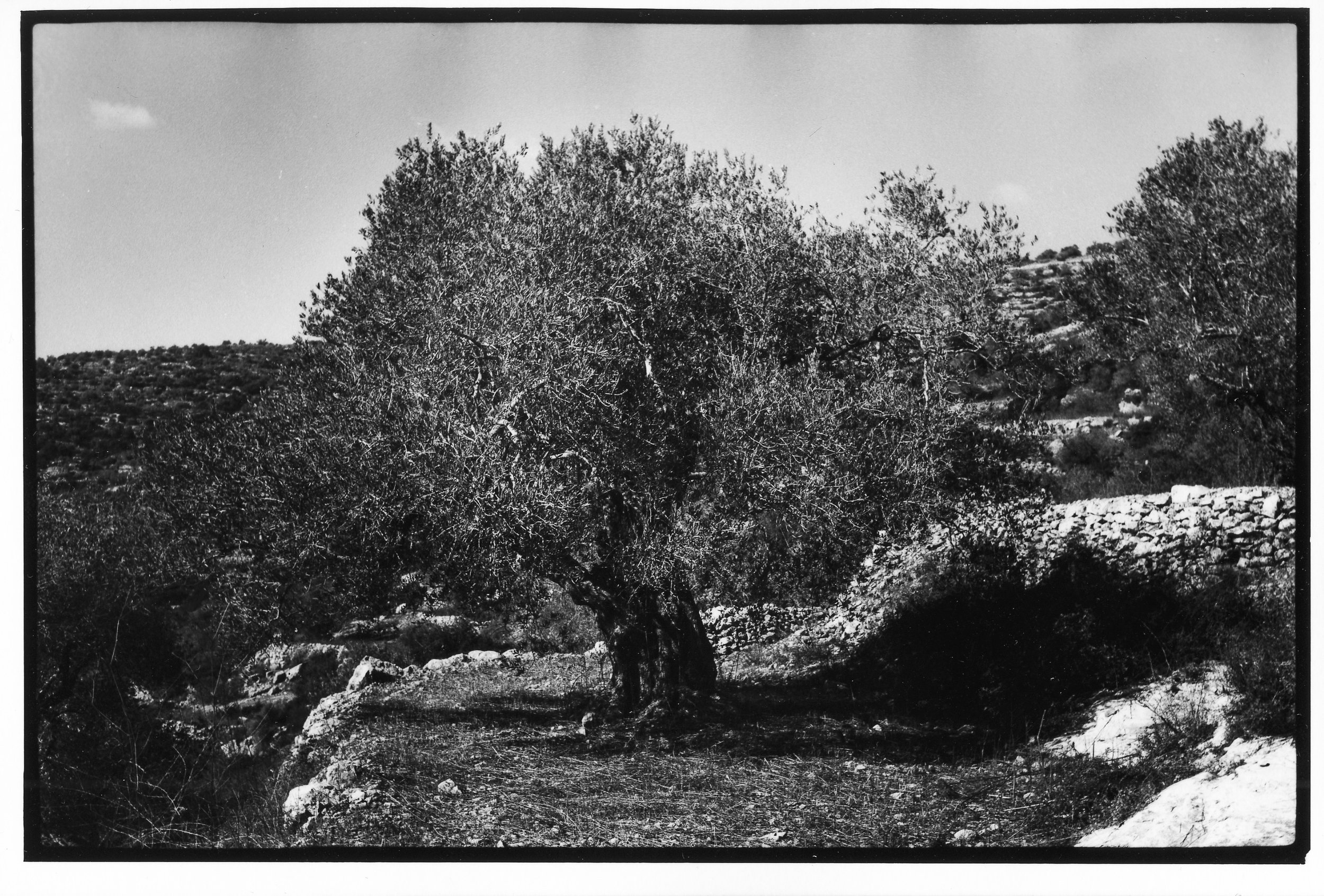 We Will Know The End - SCAN 13x18 076.jpg