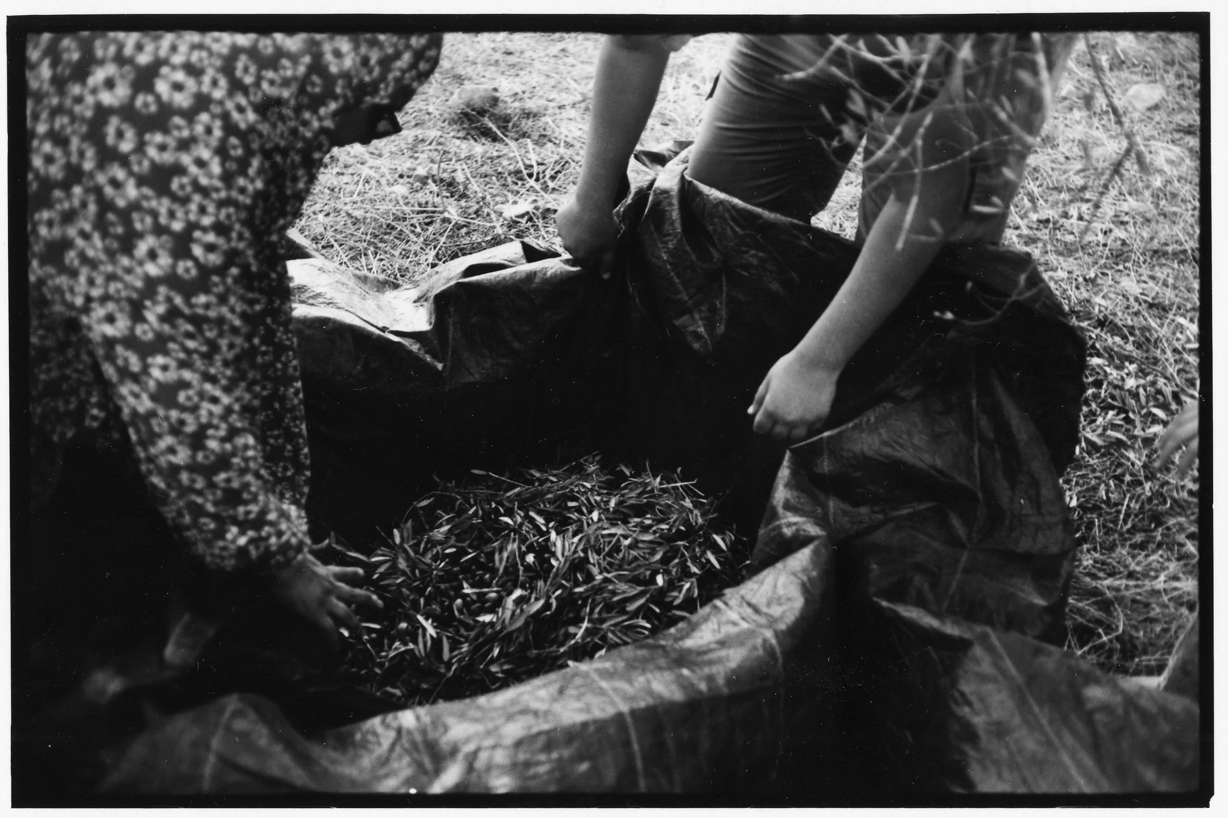 We Will Know The End - SCAN 13x18 075.jpg