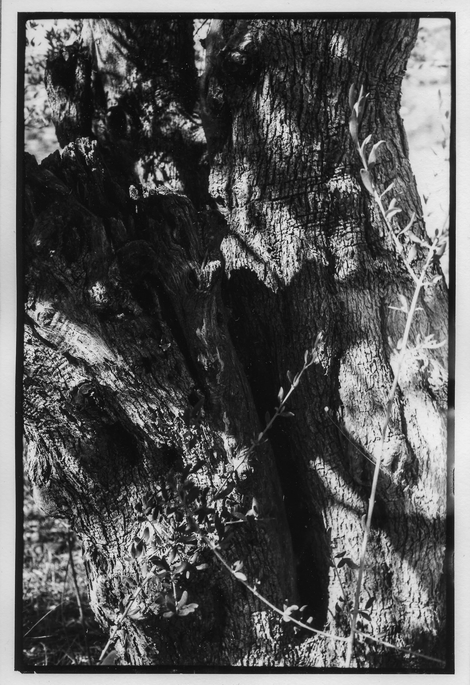 We Will Know The End - SCAN 13x18 070.jpg