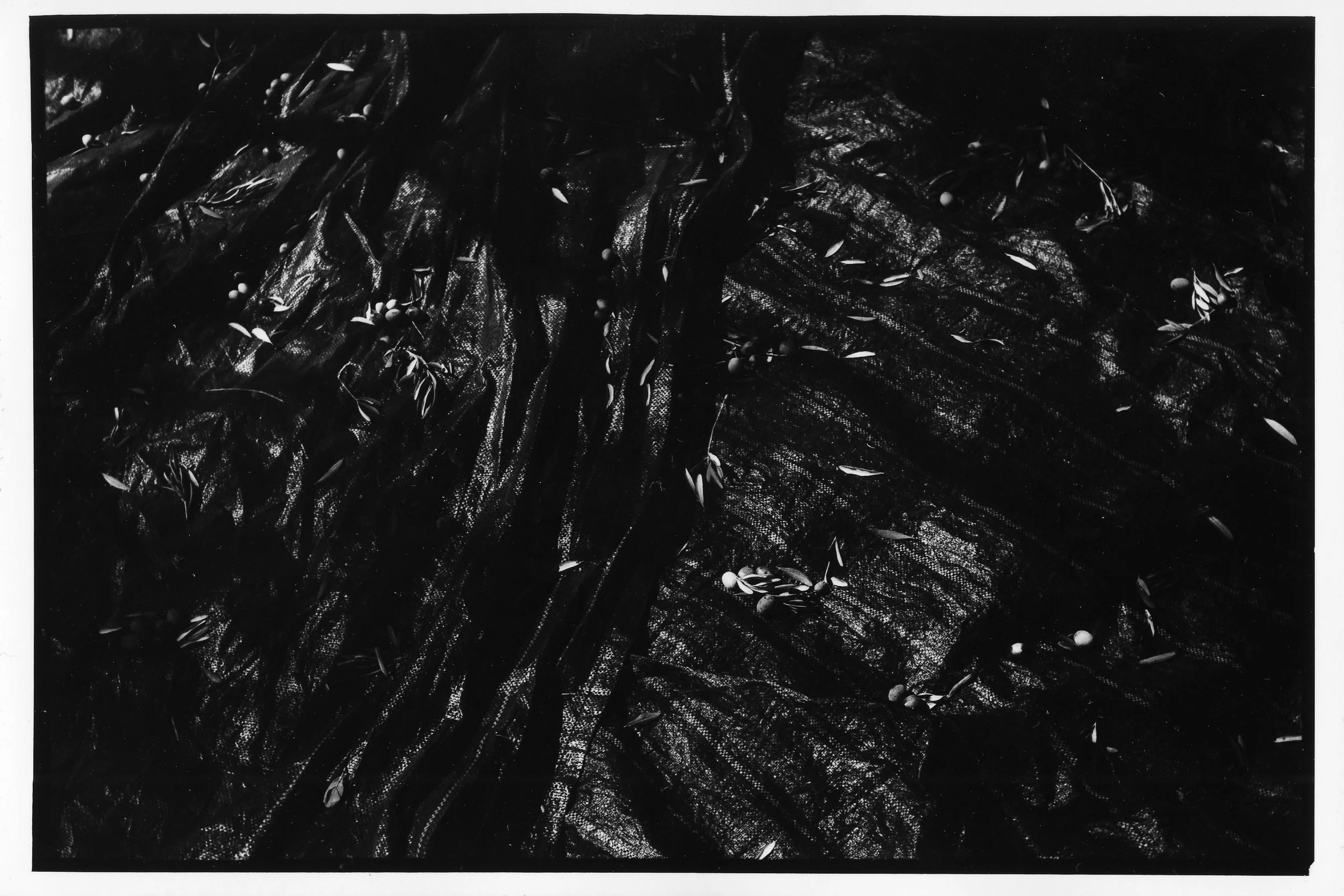 We Will Know The End - SCAN 13x18 074.jpg