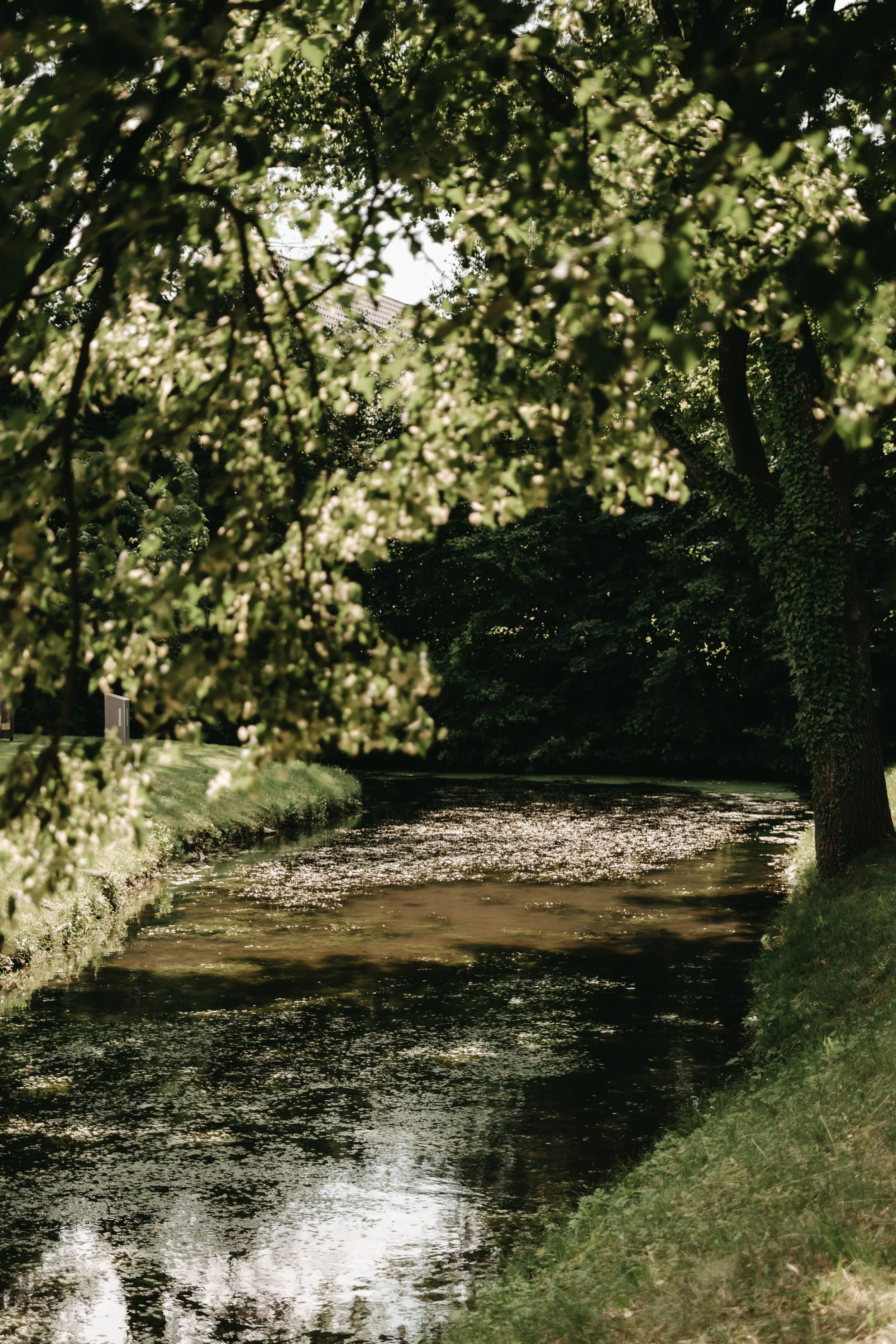 alinaschlegel.photography_Hochzeit_Sinem & Baran-1.jpg