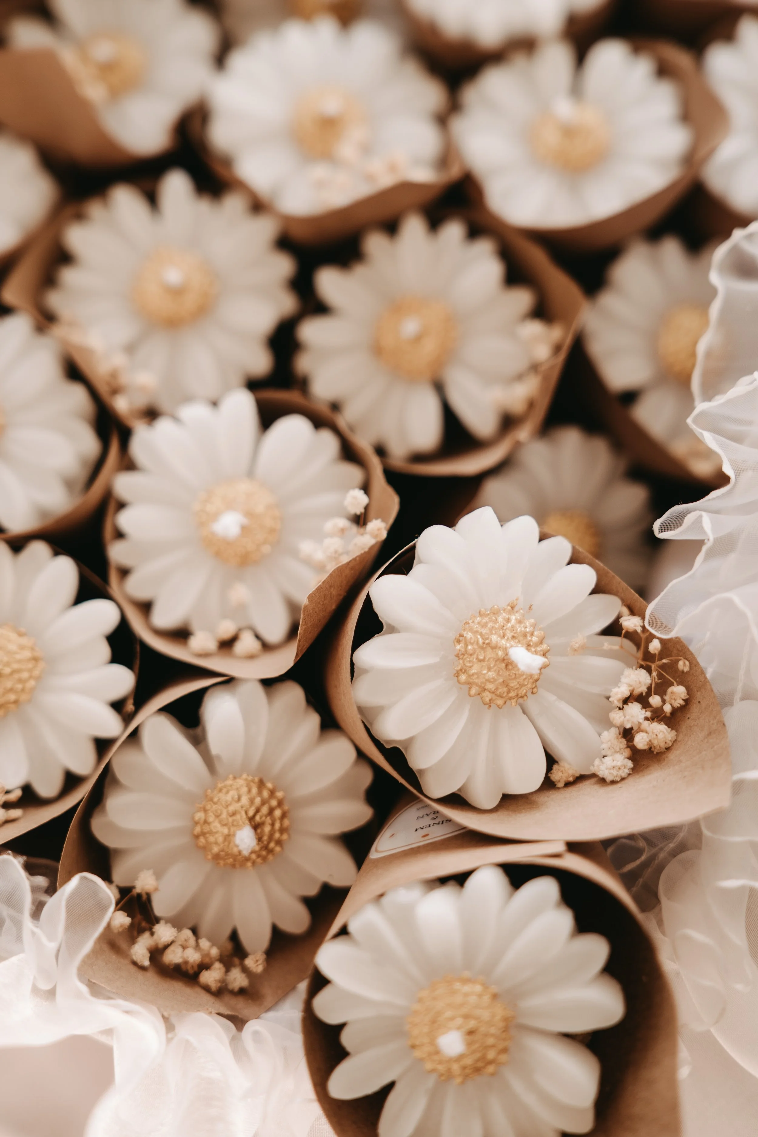 alinaschlegel.photography_Hochzeit_Sinem & Baran-8.jpg