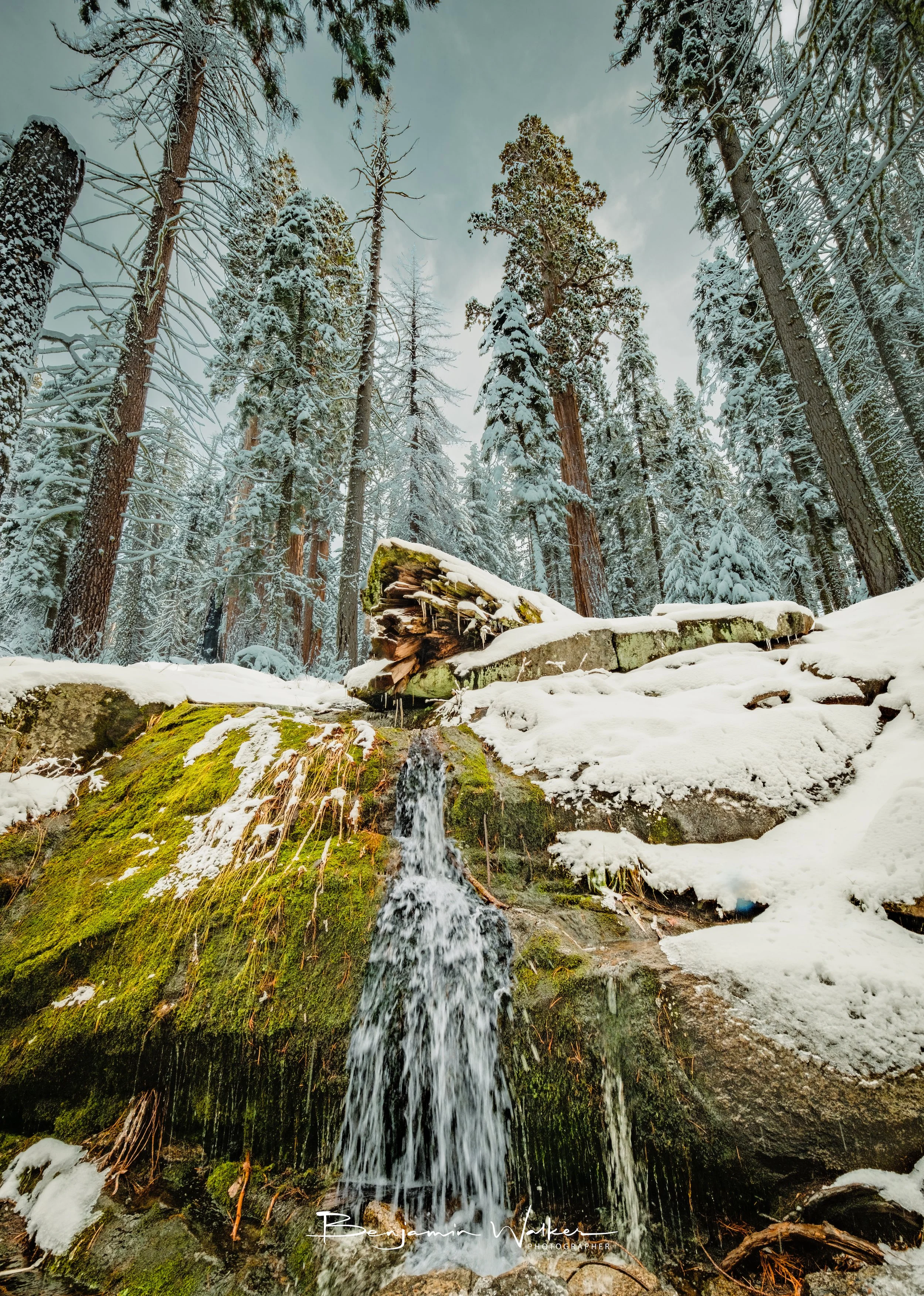 DSCF0897-HDR-4 copy.jpg