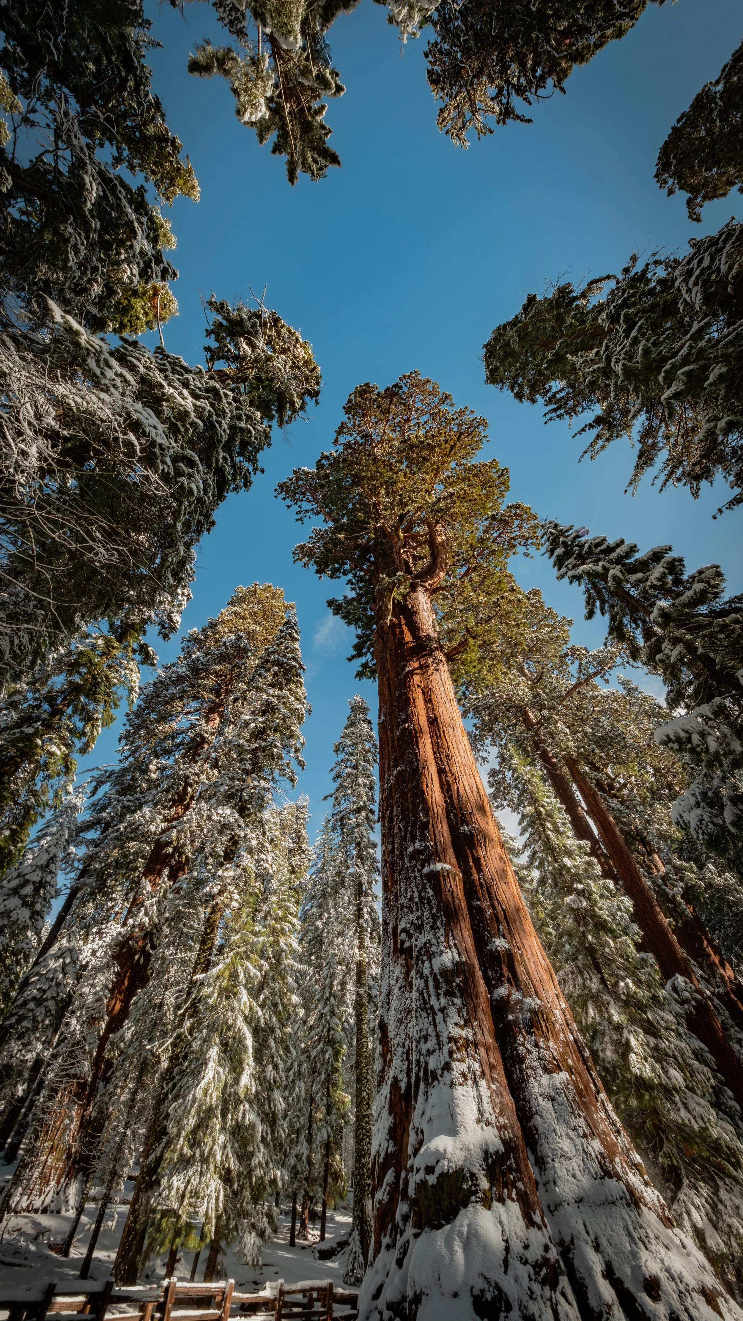 DSCF0840-HDR copy.jpg