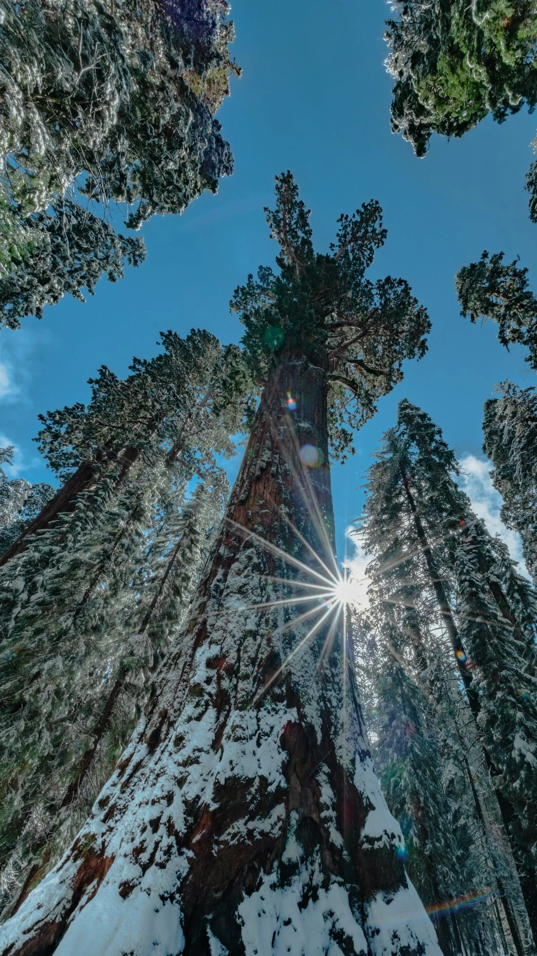 DSCF0849-HDR-3 copy.jpg