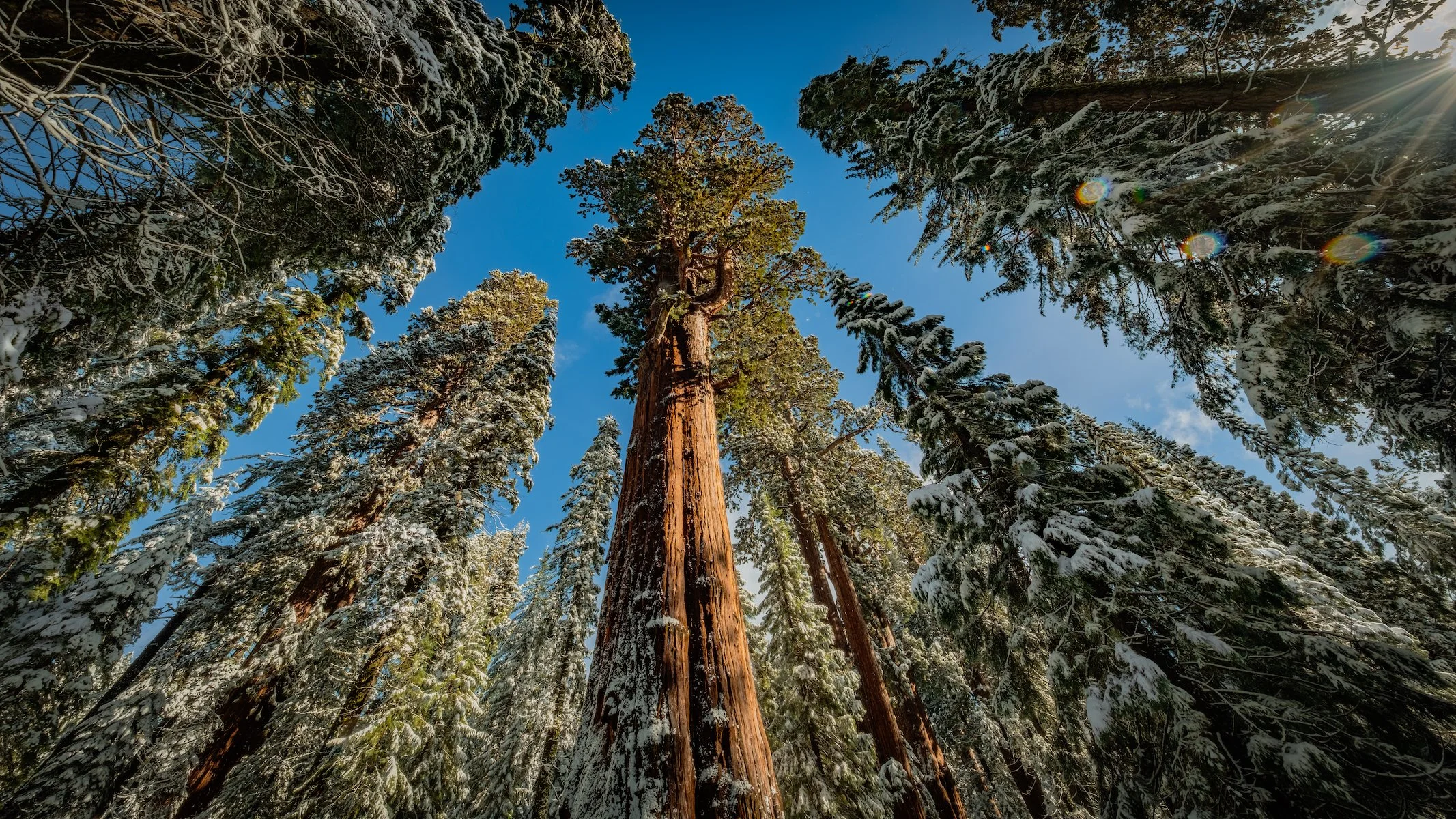 DSCF0837-HDR copy.jpg