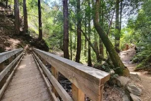 Guides Organizations to Inclusivity