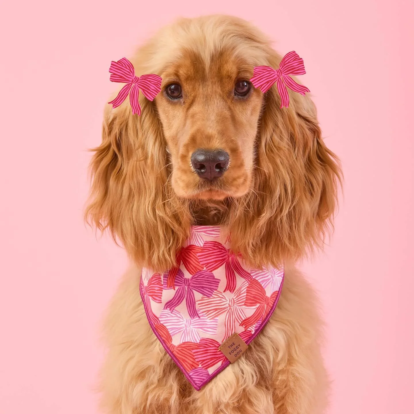 I am so thrilled to share these pieces that I collaborated with @thefoggydog on! It&rsquo;s a dream to work with them, always been high on my bucket list of dream clients&hellip;. As I am sure comes as no surprise!! Thank you to @jewelbranding for ma