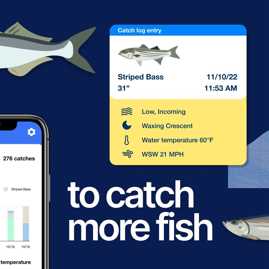 Log your catches and use your data to catch more fish&mdash;all while supporting marine research. Meet GotOne, designed for anglers by anglers. Check out our profile to get the full picture.
#caughtonewithgotone
#gotoneapp
#saltwaterfishing
#fishlogg