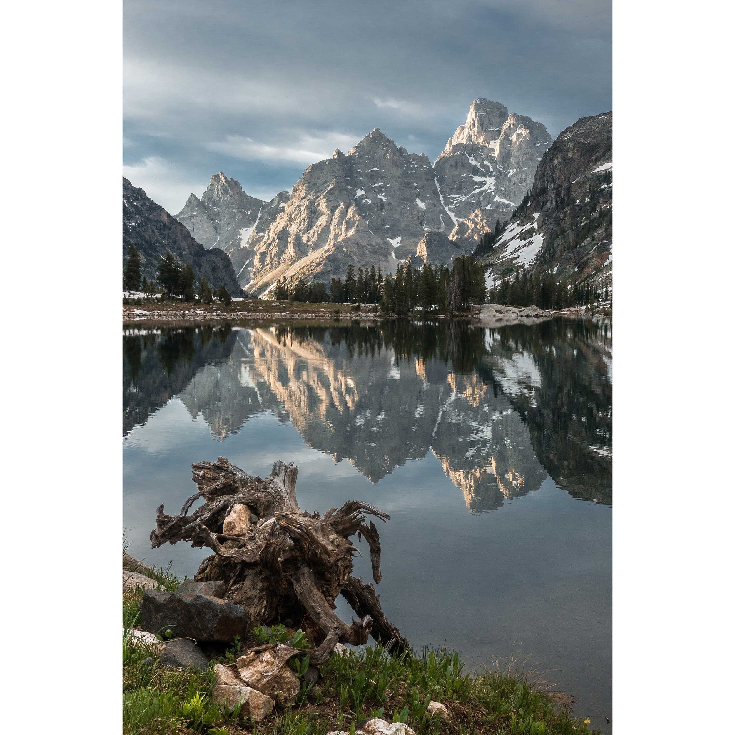 Lake+Solitude+Driftwood+-+Sunrise_for+web_square.jpg