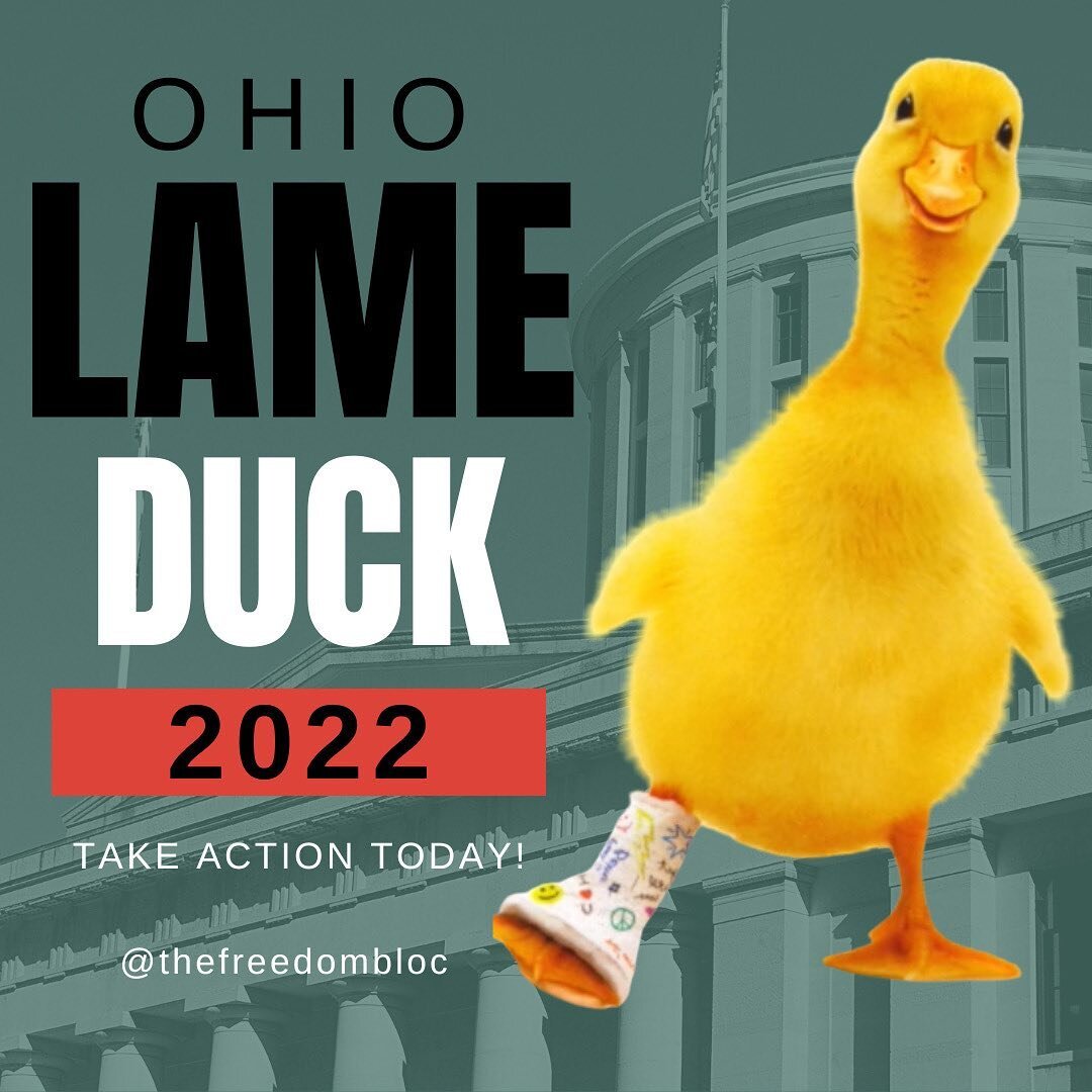 Take Action: Ohio Lame Duck 2022!
⠀⠀⠀⠀⠀⠀⠀⠀⠀
The Ohio legislature has begun its Lame Duck session for the 134th General Assembly.
&nbsp;
Lame Duck is the period between Election Day and December 31st every two years when any bill that hasn't passed mu