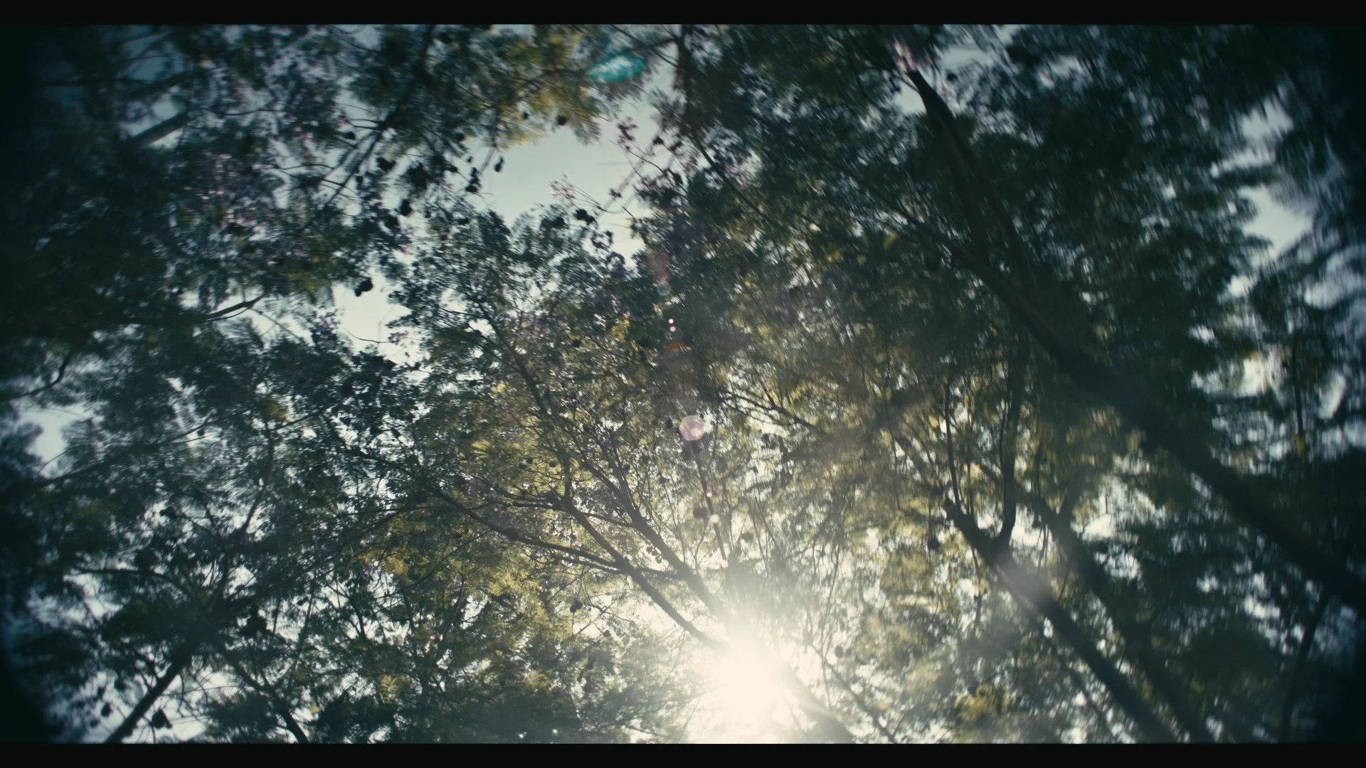 Still 2026-03-12 120246_1.285.1.jpg