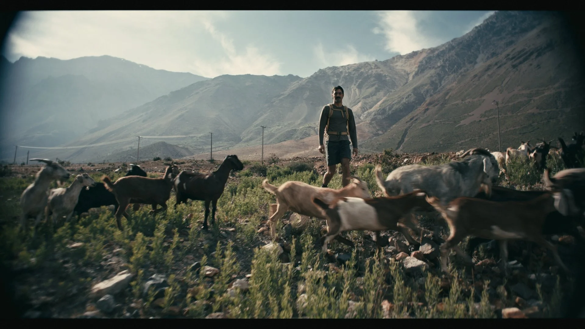 Still 2026-03-12 120246_1.6.1.jpg