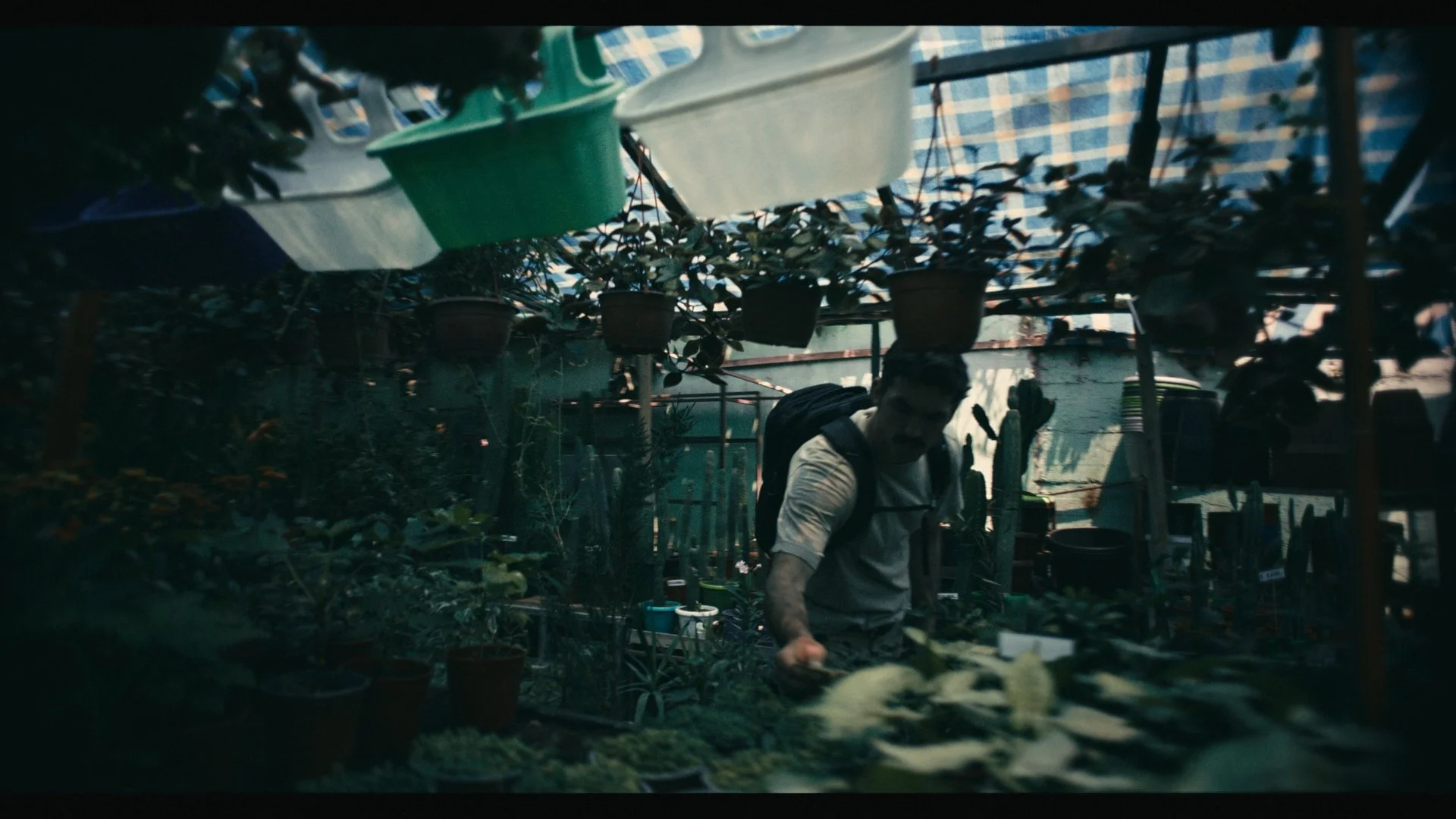 Still 2026-03-12 120246_1.190.1.jpg