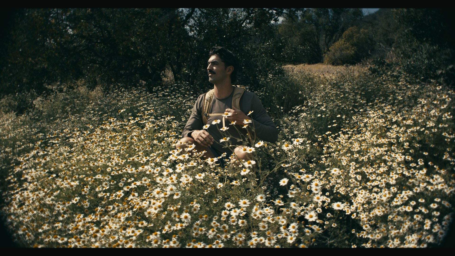 Still 2026-03-12 120246_1.329.1.jpg