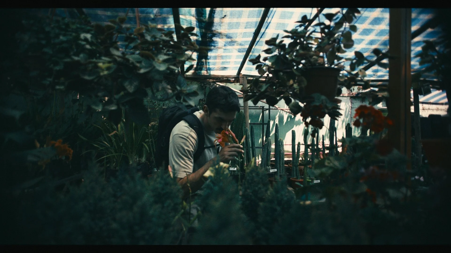 Still 2026-03-12 120246_1.187.1.jpg