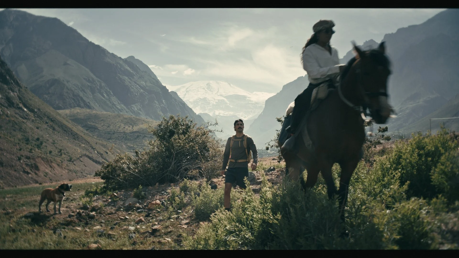 Still 2026-03-12 120246_1.18.1.jpg