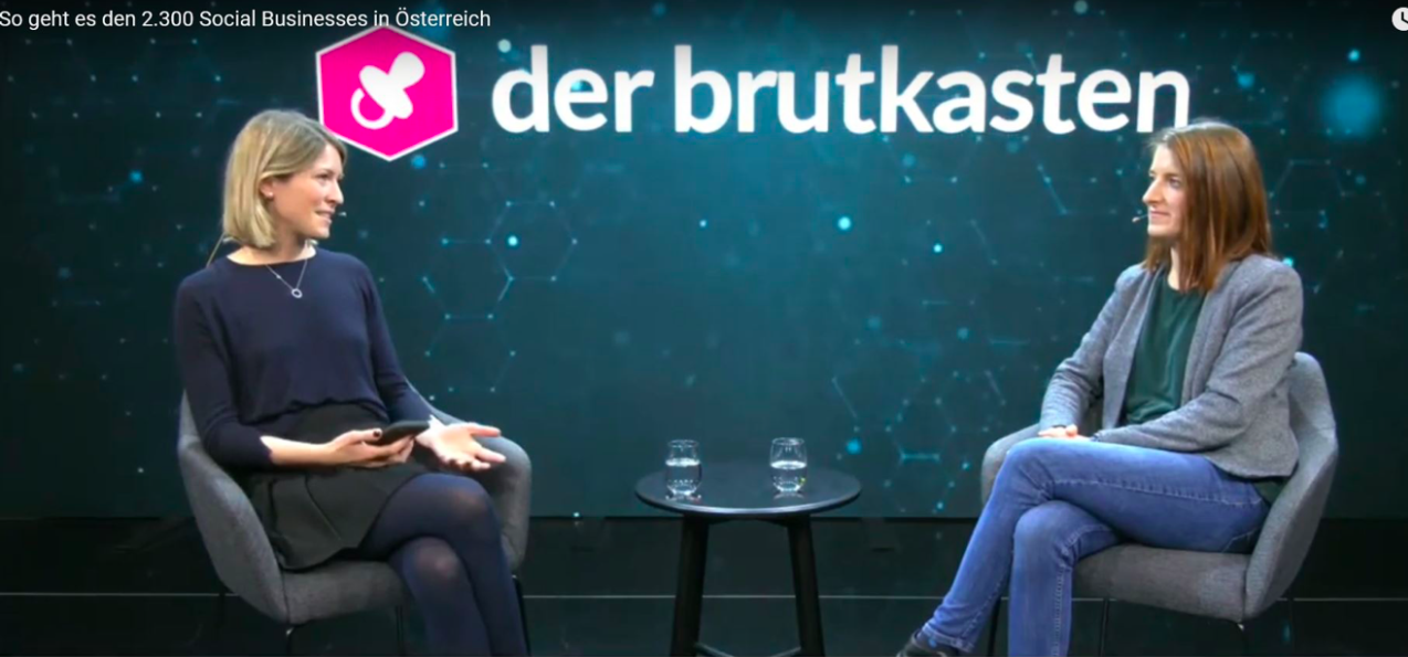Interview von "der brutkasten" zu Social Businesses