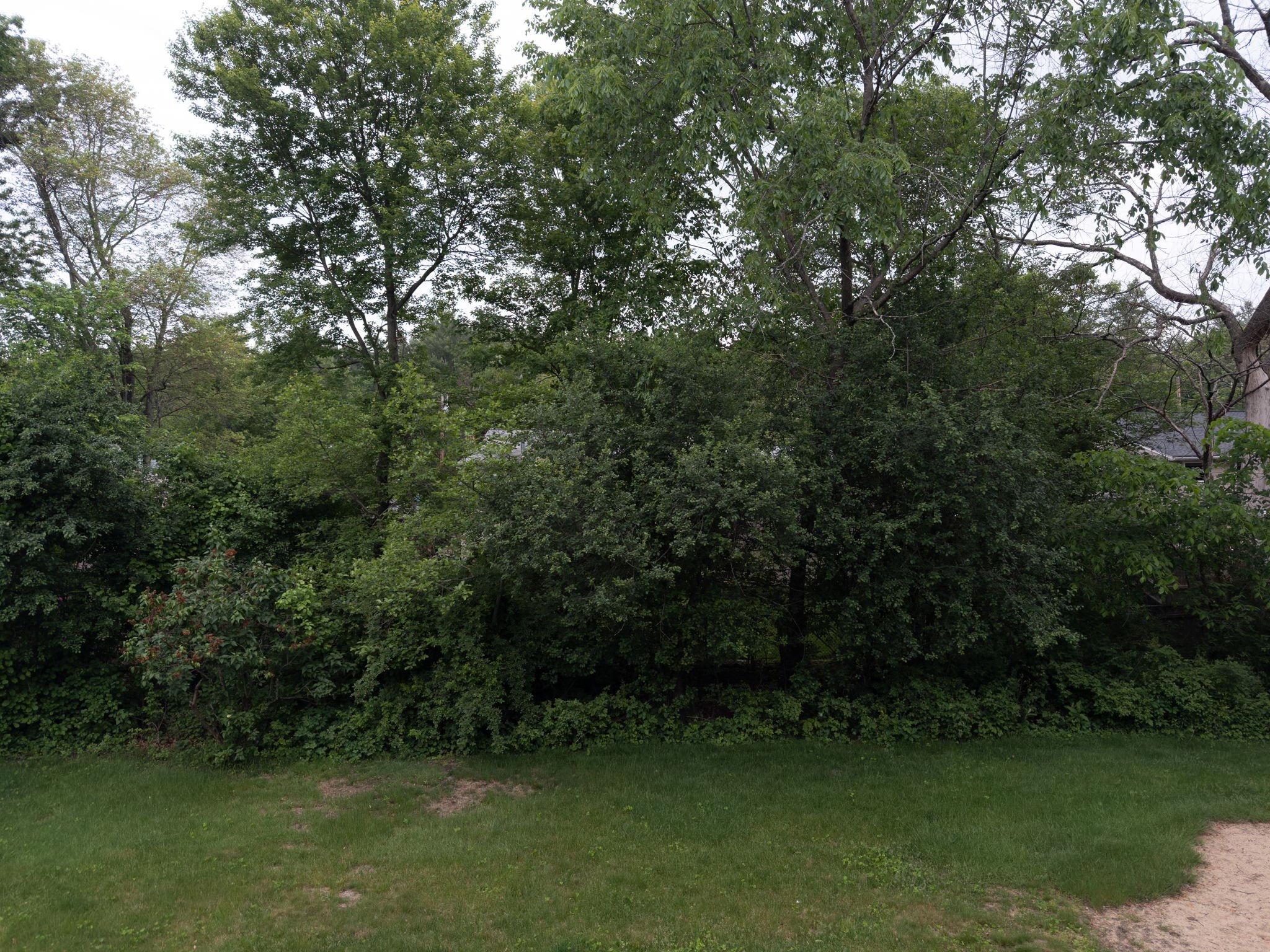 10-web-or-mls-4ColonyCircleBedfordMA-01.jpg