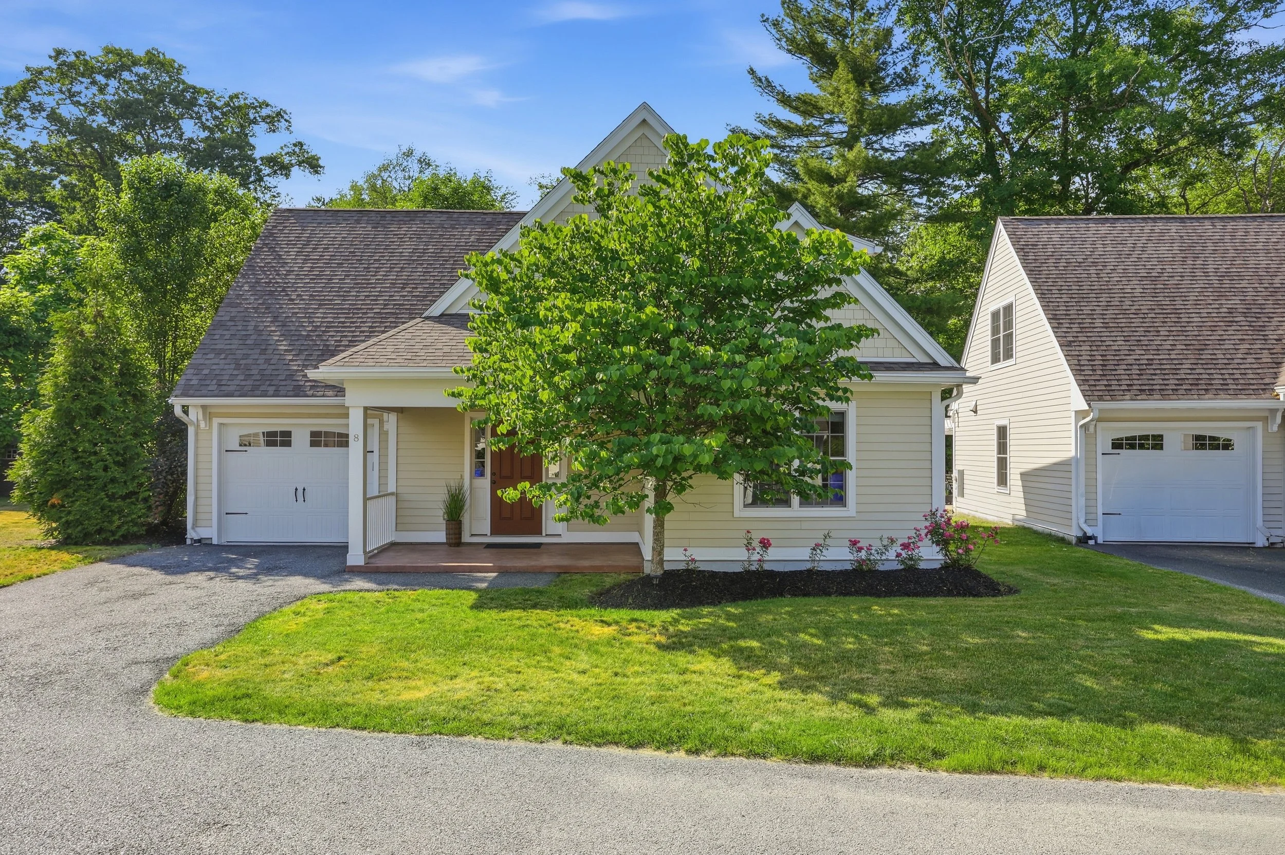 1_ppr65065.jpg