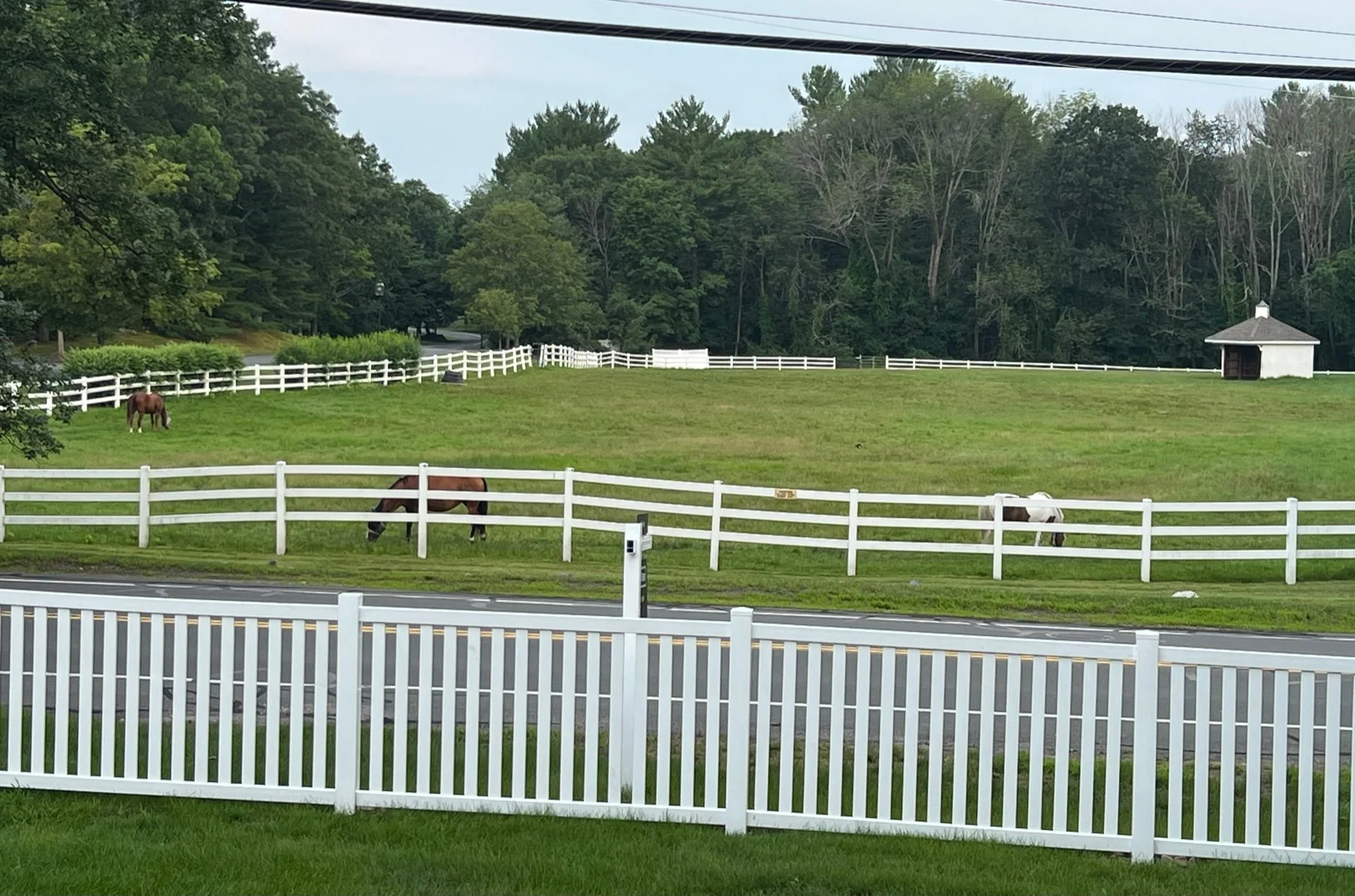 View across street.jpg