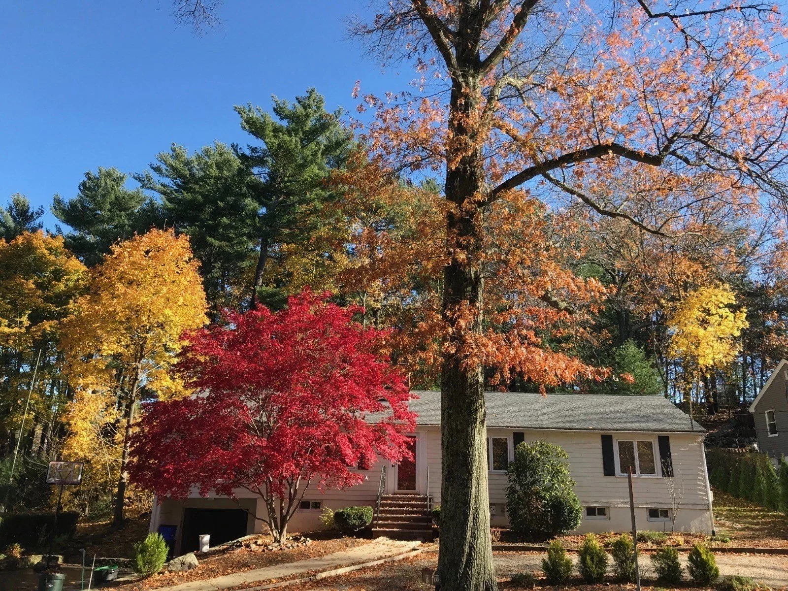 12 Watertown St | Lexington,&nbsp;MA&nbsp;02420