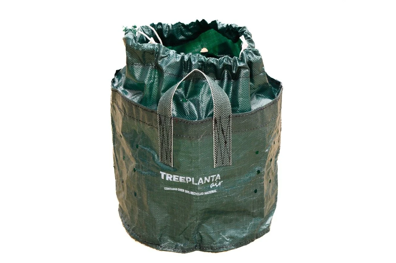 Tree Plug Container Treeplanta Bag, Container Bags for Trees — Treeplanta