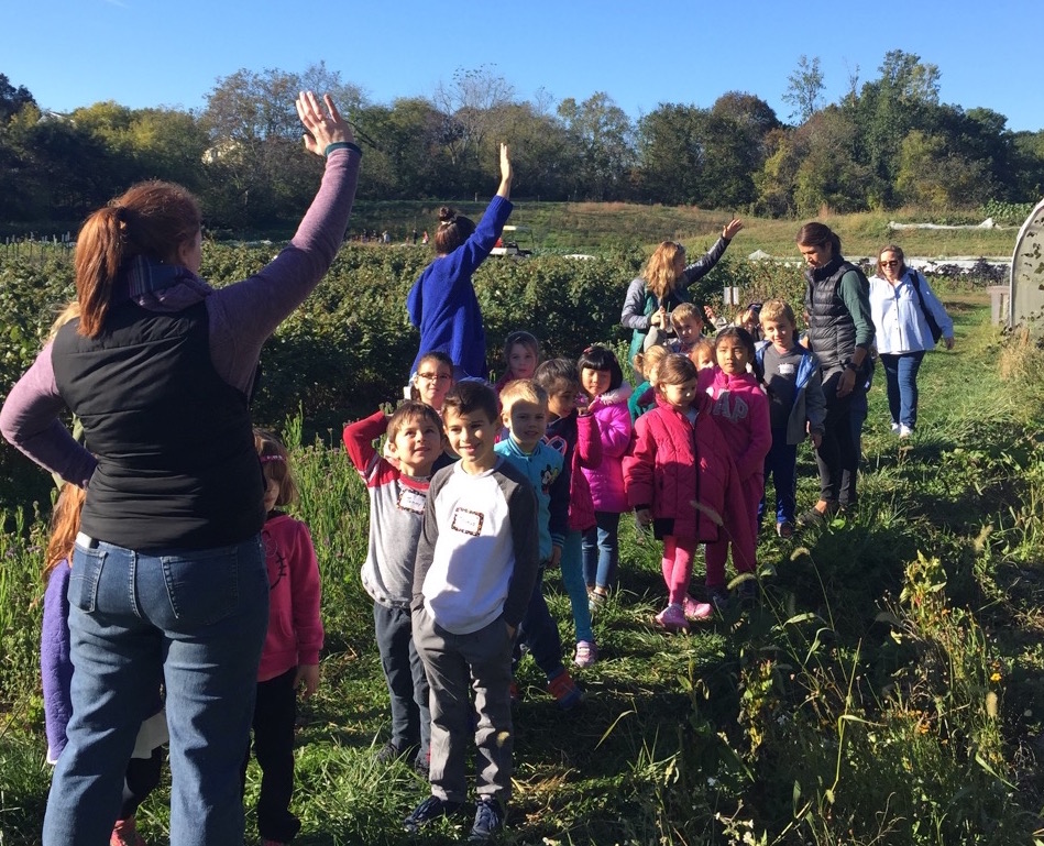 Kindergarteners at Winchester's own Wright Locke Farm