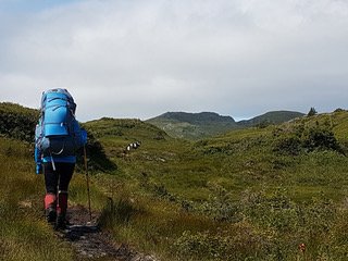 20170818_141256.jpg
