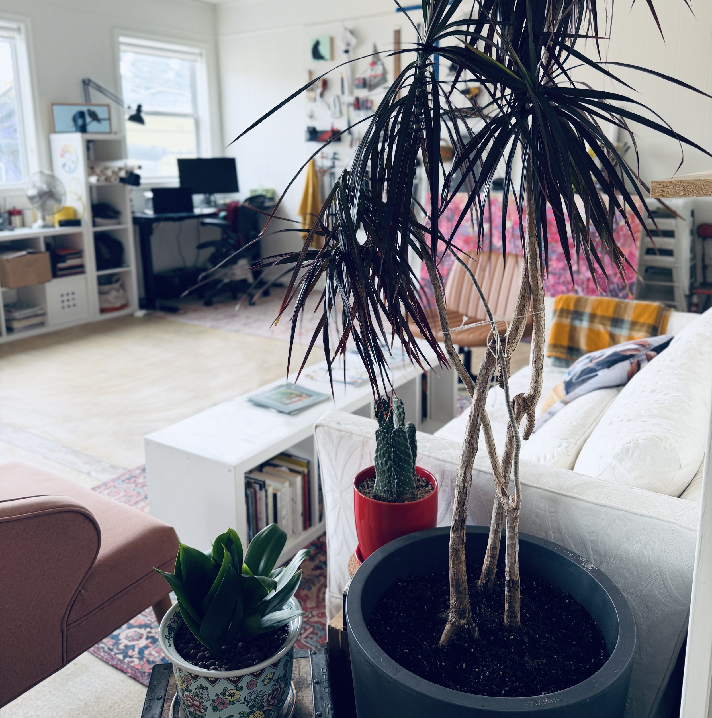 Art studio with houseplants in various pots, a workspace with a computer, and furniture including a couch and a bookshelf.