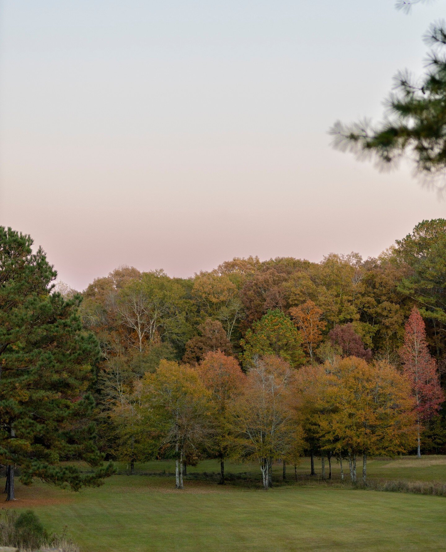 Golden hour here at Douglas Manor is simply stunning 😍 This is why we encourage sunset photos to our couples ALL the time! ⁠
⁠
Photographer: @live_free_photo