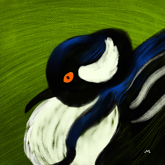 08DUCK.png