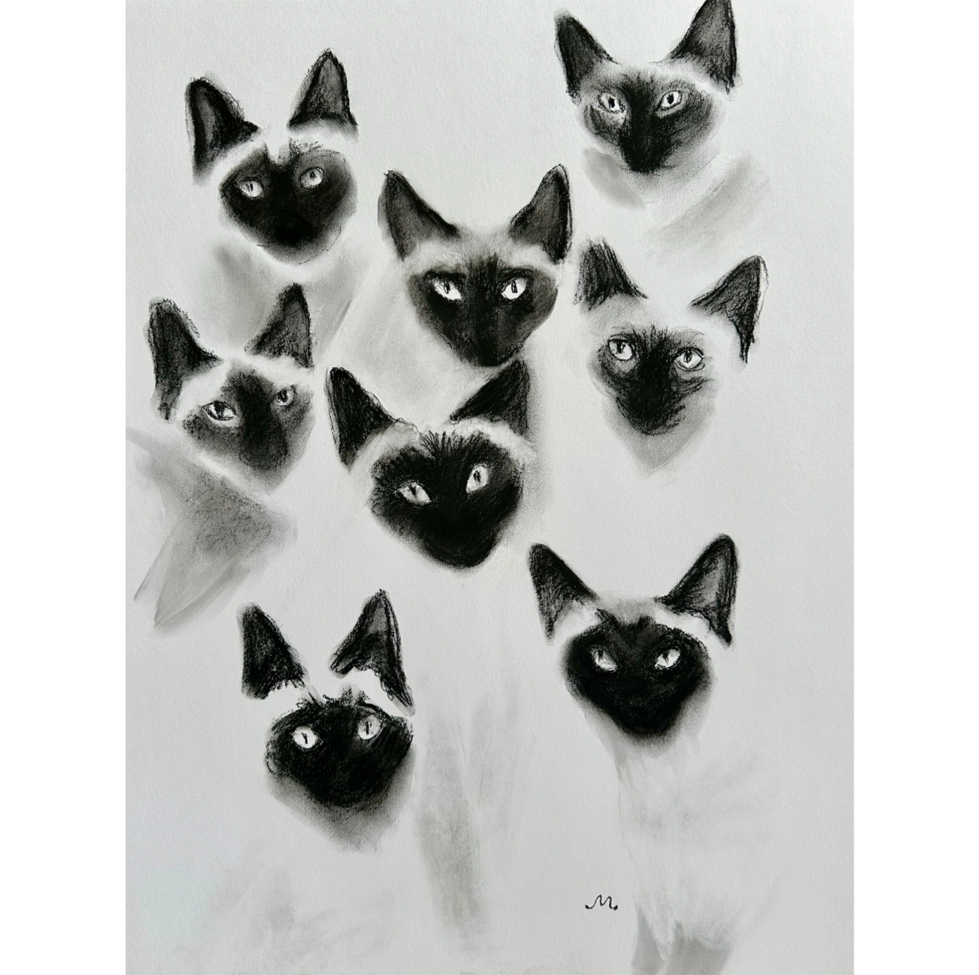 Siamese Cats2.png