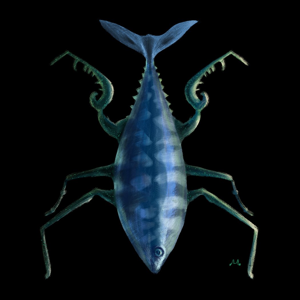 4 Tuna Mantis.jpg
