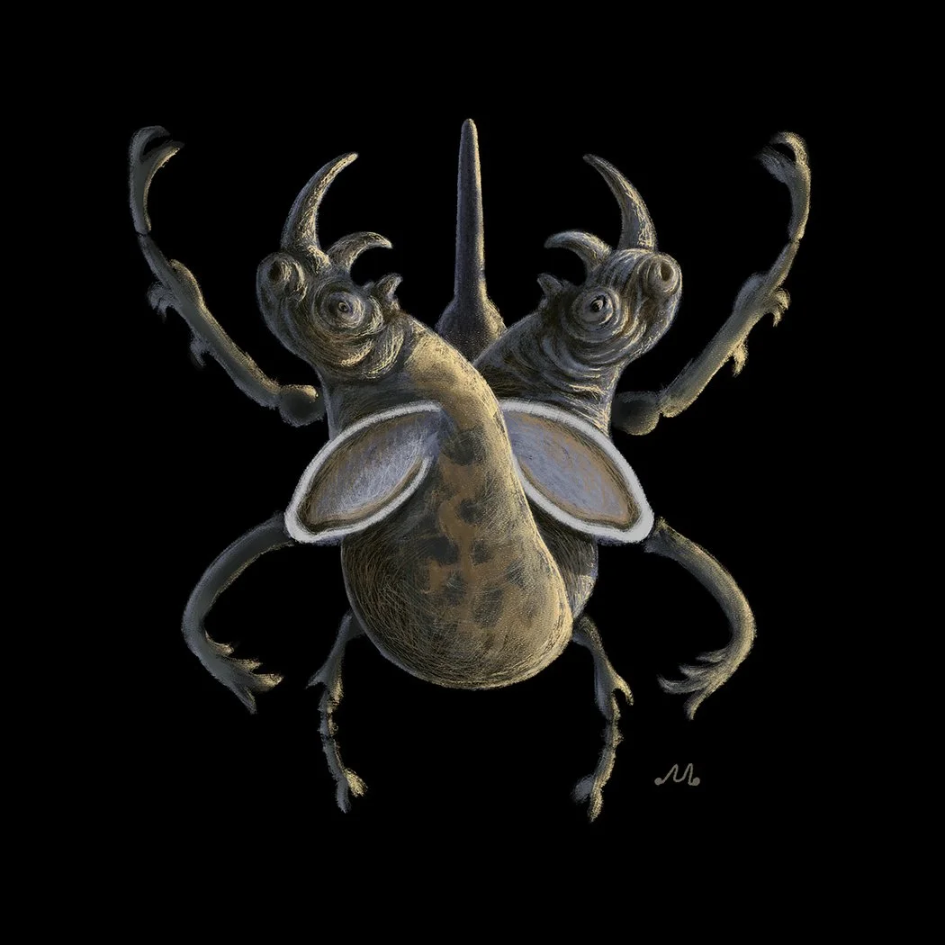 2 Rhino Beetle .jpg
