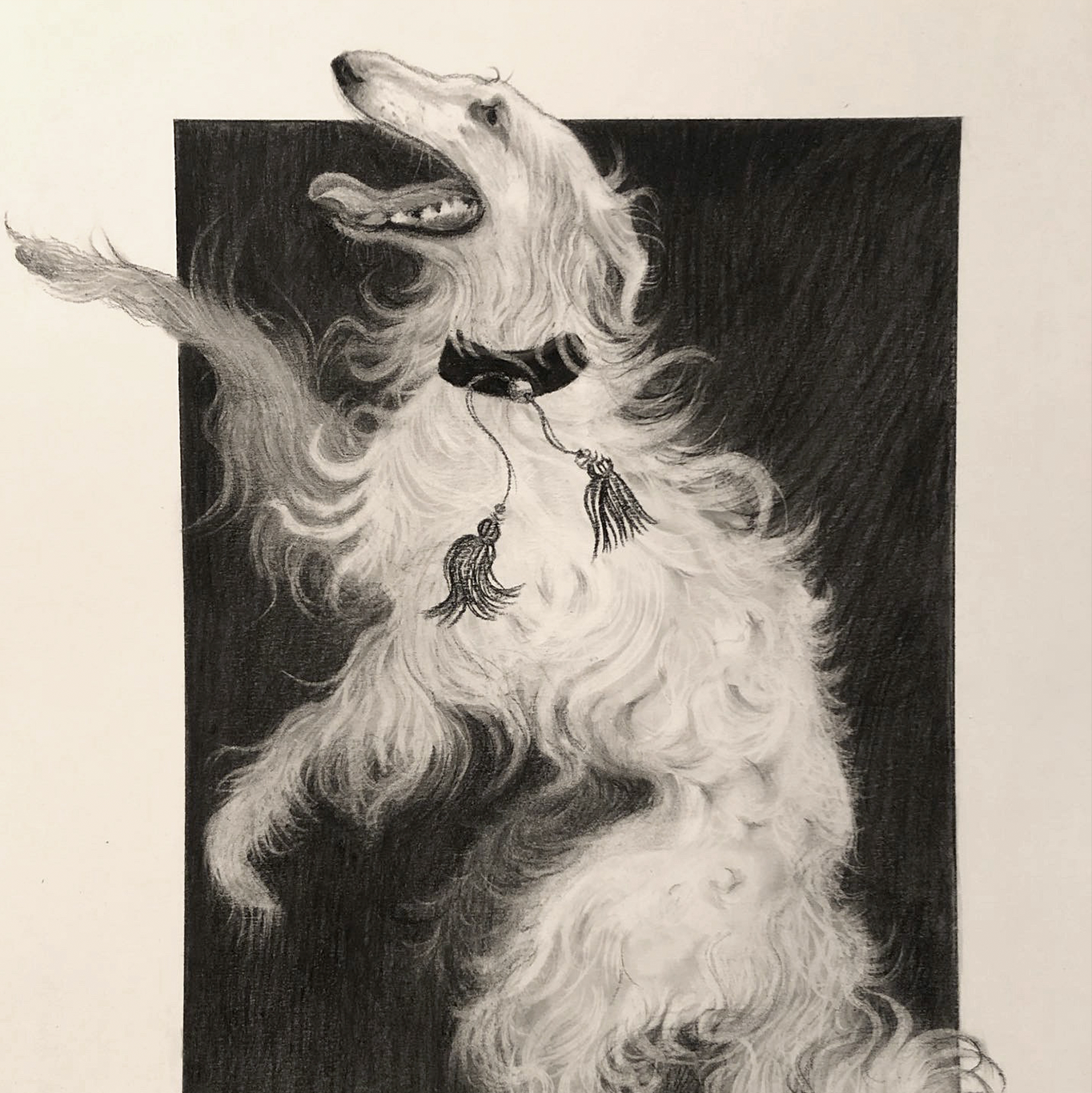 01.3_Borzoi Drawing.png